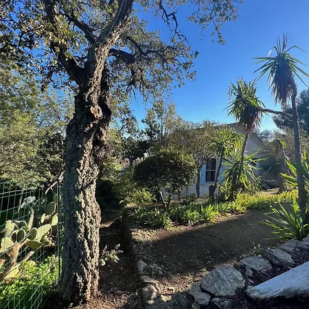 Villa Authentique Le Cactus Entierement Renovee Climatisee Proche Des Plages Du Centre Du Lavandou Et Du Supermarche *